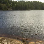Vatnestr Dom wakacyjny