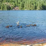 Vatnestr * Mykland